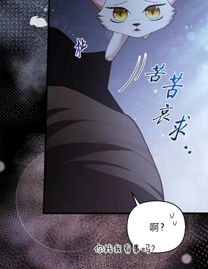 《大公家的狐狸皇女》19.另有隐情图70