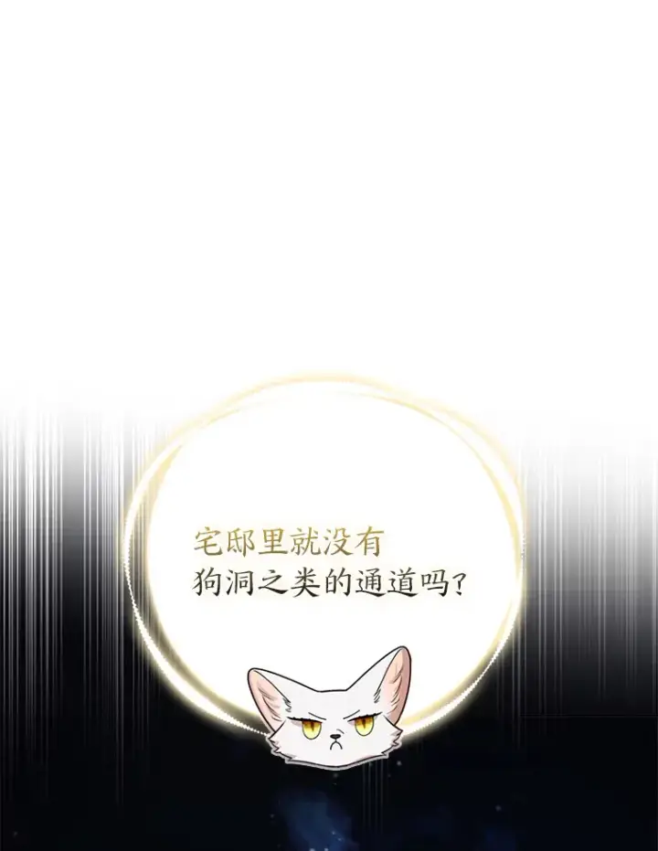 《大公家的狐狸皇女》20.洛温的建议图70