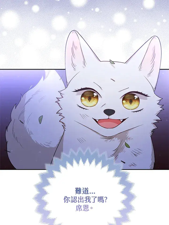 《大公家的狐狸皇女》第3话图19