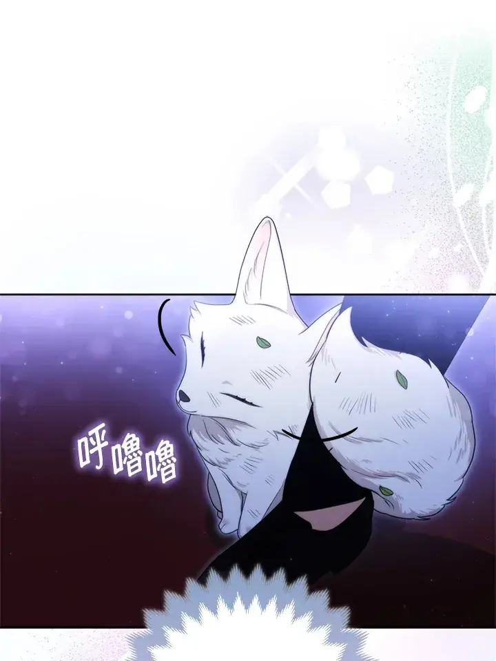 《大公家的狐狸皇女》第3话图36