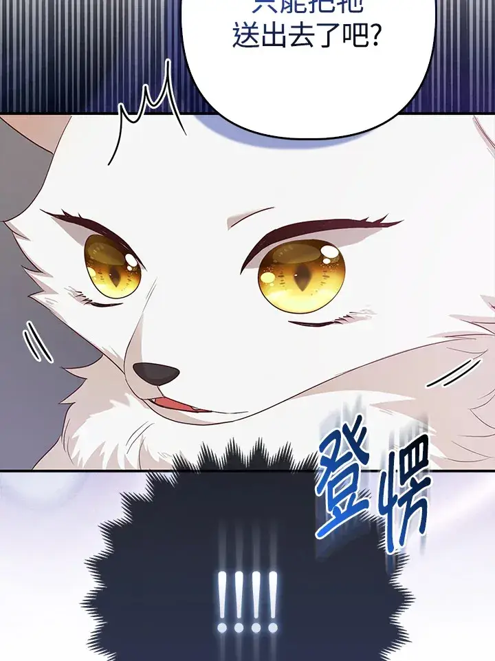 《大公家的狐狸皇女》第4话图28