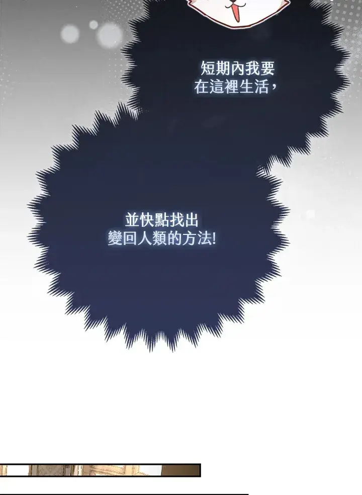 《大公家的狐狸皇女》第4话图87