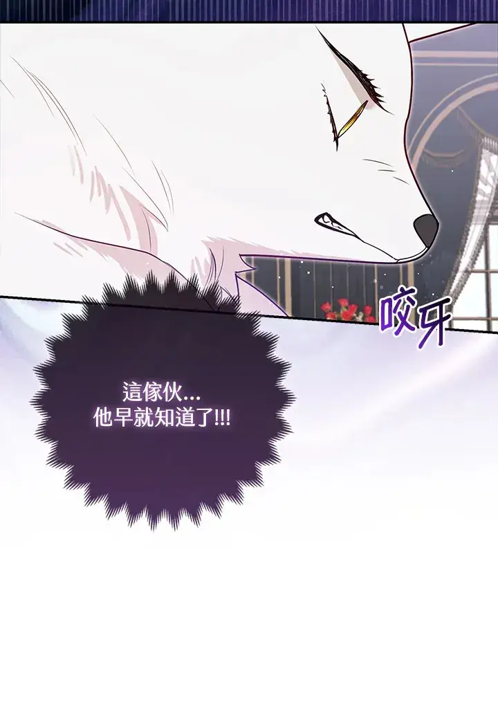 《大公家的狐狸皇女》第6话图18