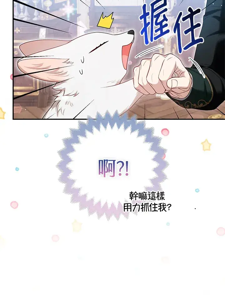 《大公家的狐狸皇女》第9话图72