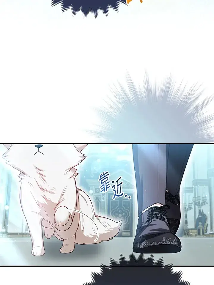 《大公家的狐狸皇女》第10话图16