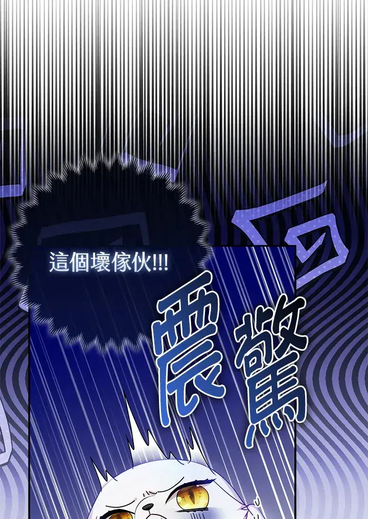 《大公家的狐狸皇女》第11话图86