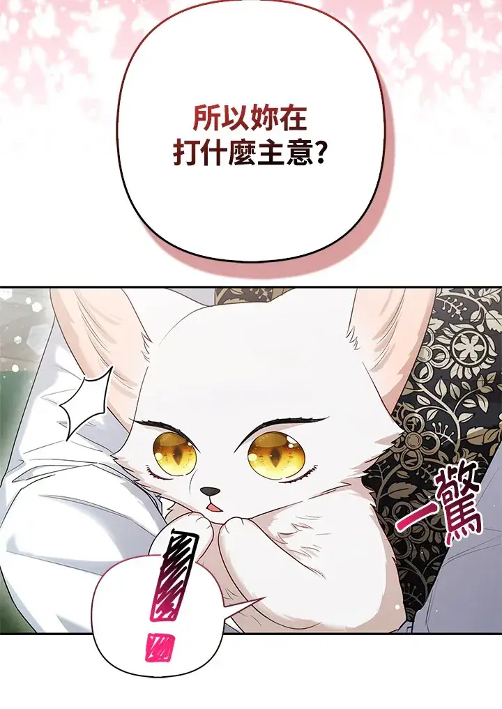 《大公家的狐狸皇女》第12话图95