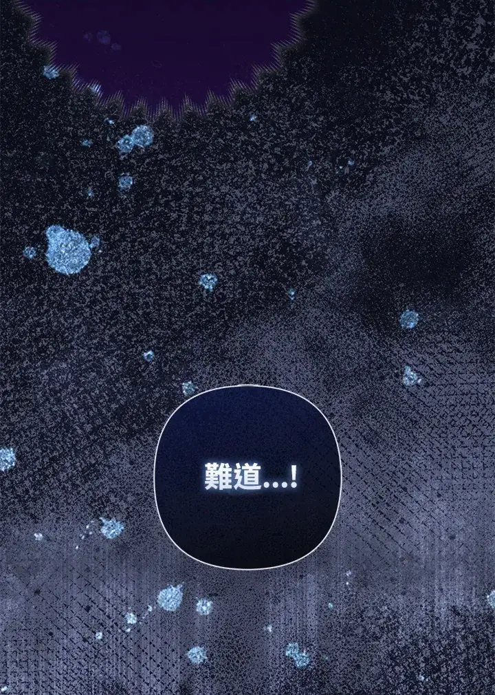 《大公家的狐狸皇女》第16话图74