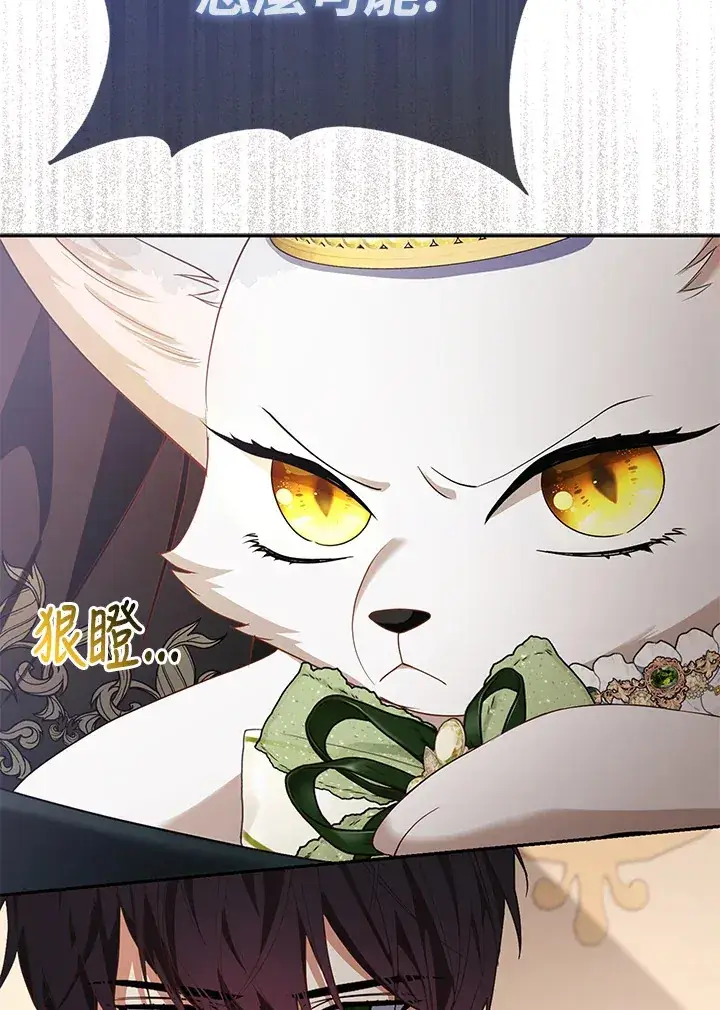《大公家的狐狸皇女》第16话图77