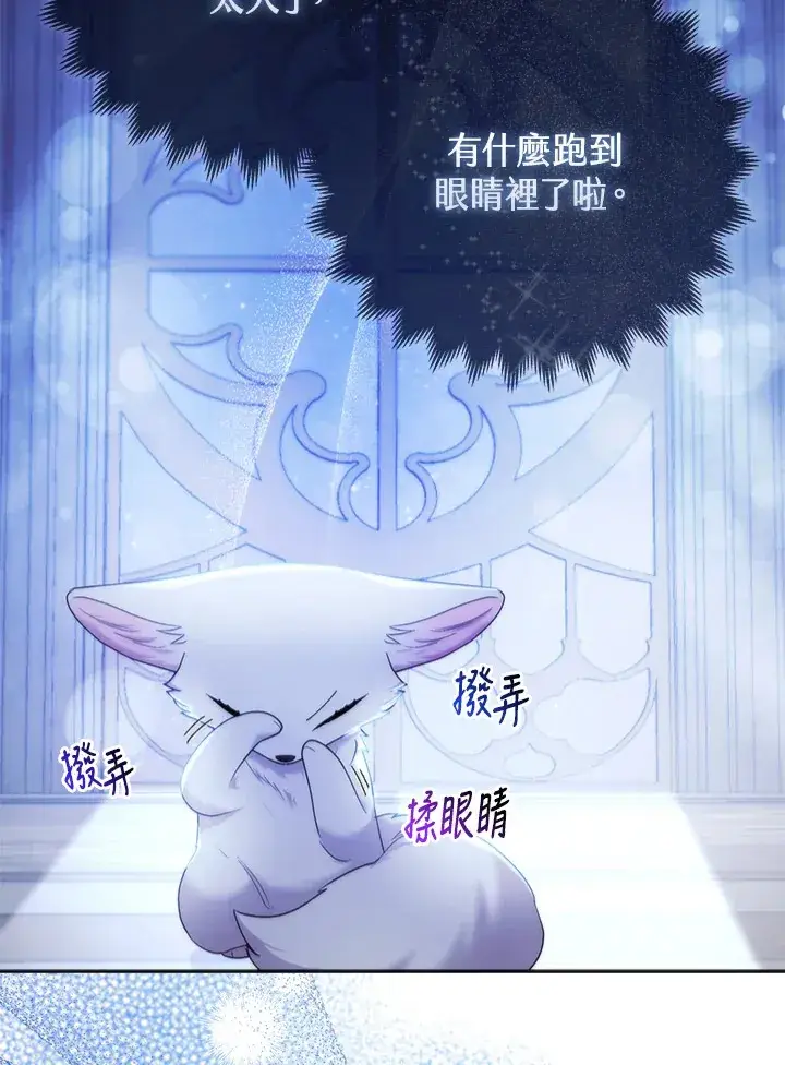 《大公家的狐狸皇女》第17话图91