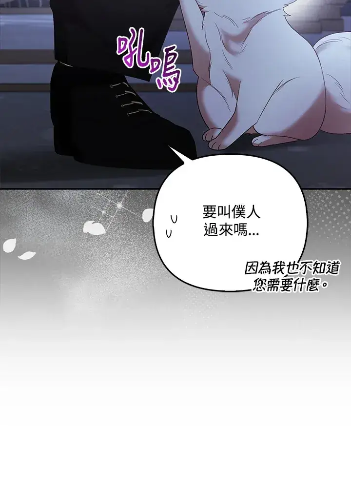 《大公家的狐狸皇女》第19话图66