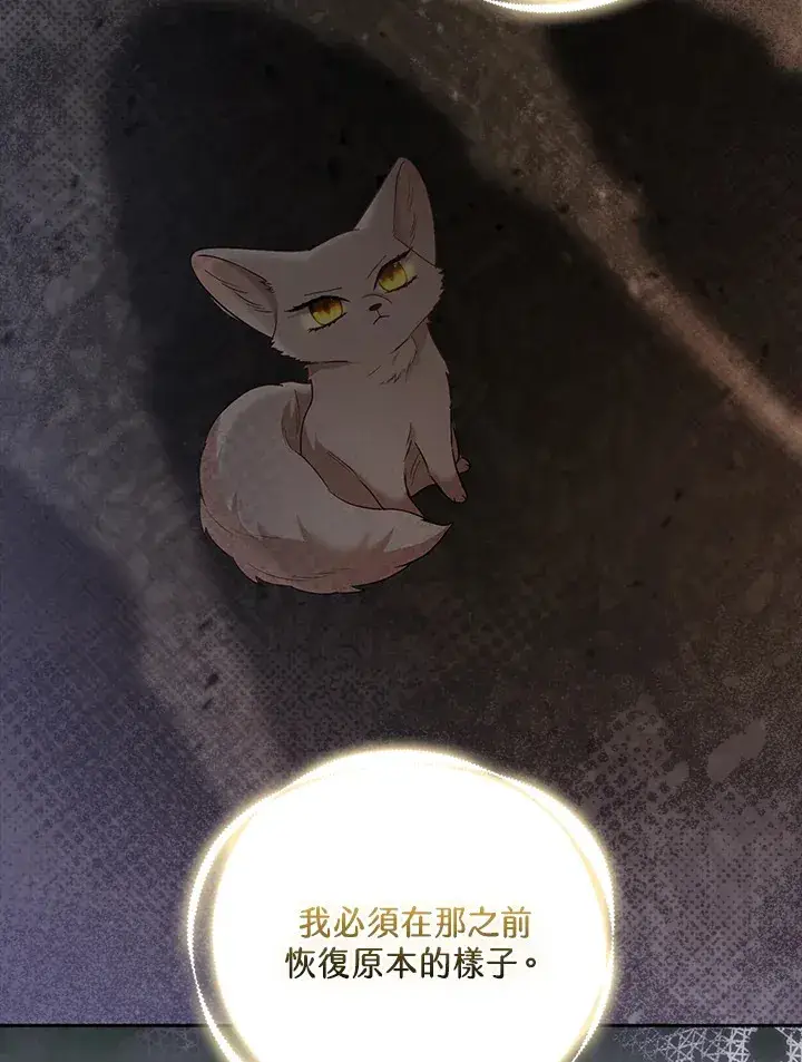 《大公家的狐狸皇女》第24话图49