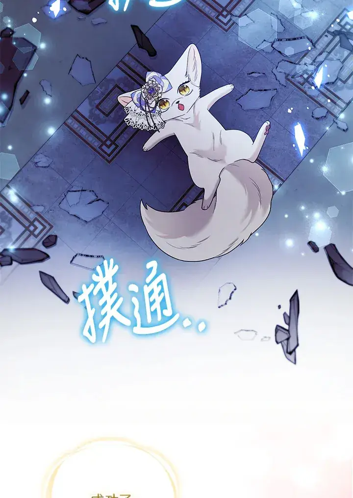 《大公家的狐狸皇女》第30话图84