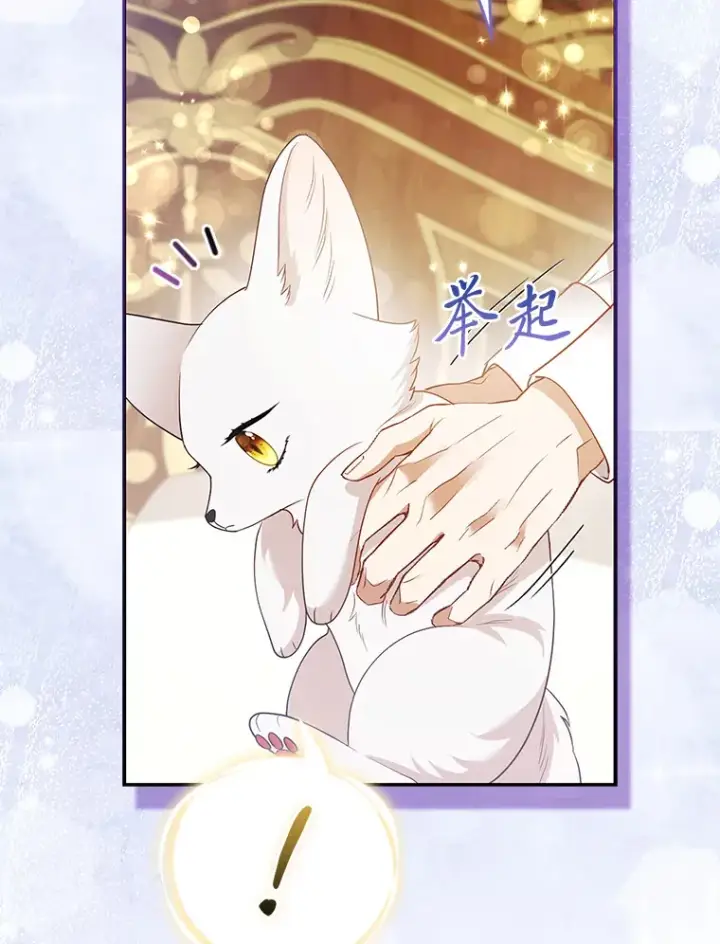 《大公家的狐狸皇女》22.解开误会图111