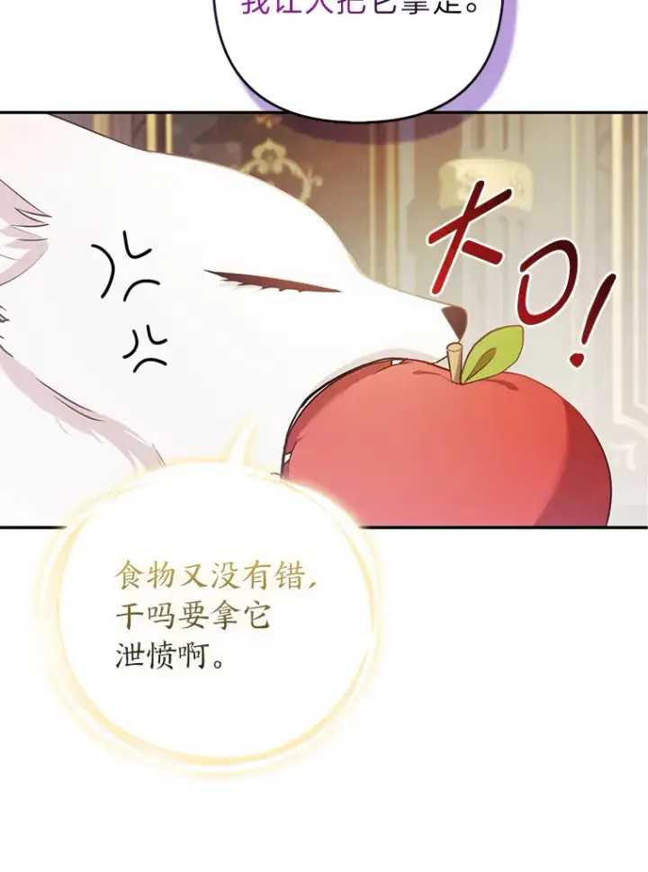 《大公家的狐狸皇女》22.解开误会图32