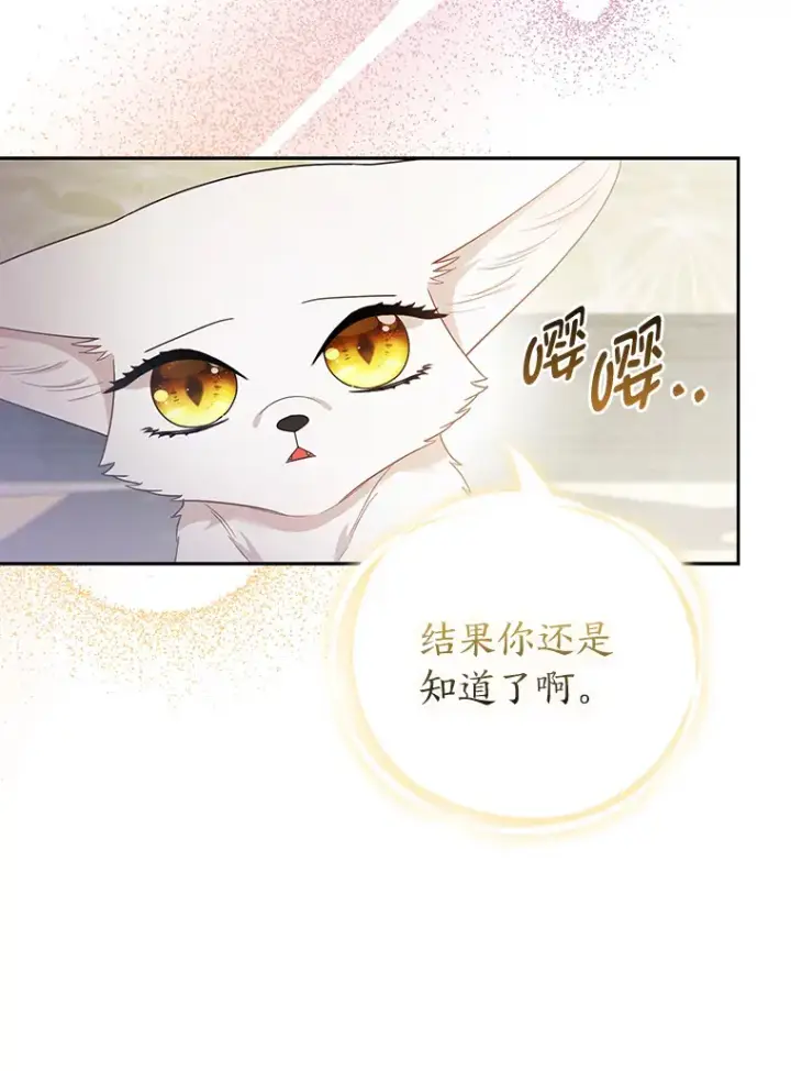《大公家的狐狸皇女》22.解开误会图39