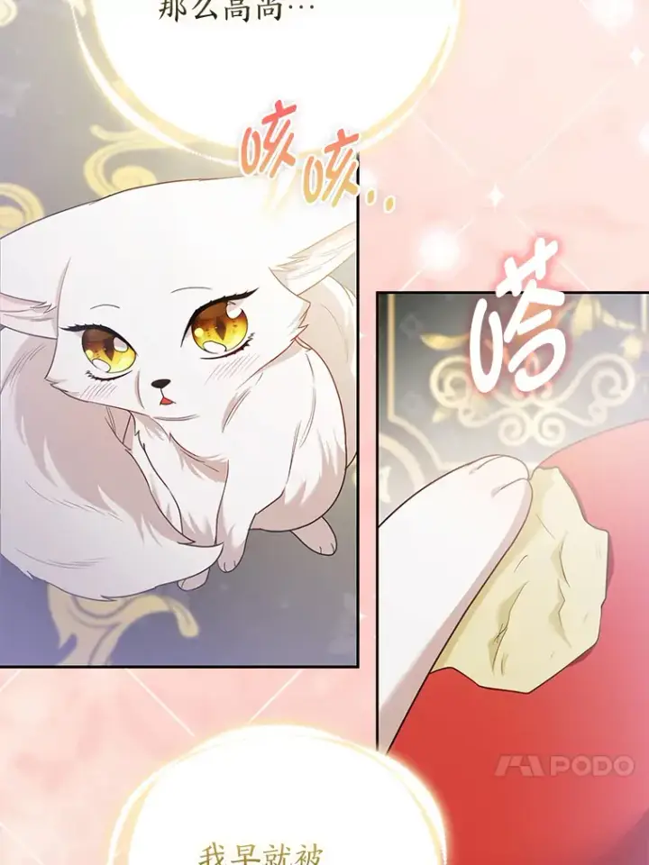 《大公家的狐狸皇女》22.解开误会图47