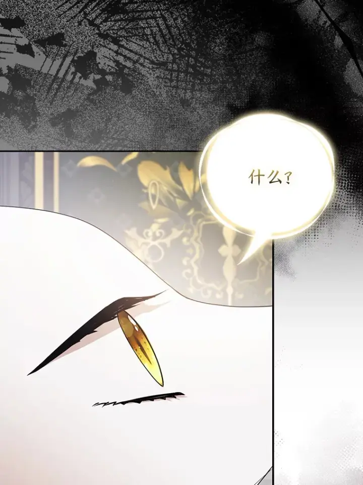 《大公家的狐狸皇女》22.解开误会图52