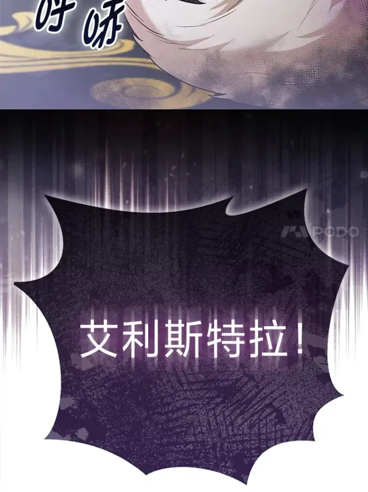 《大公家的狐狸皇女》22.解开误会图73