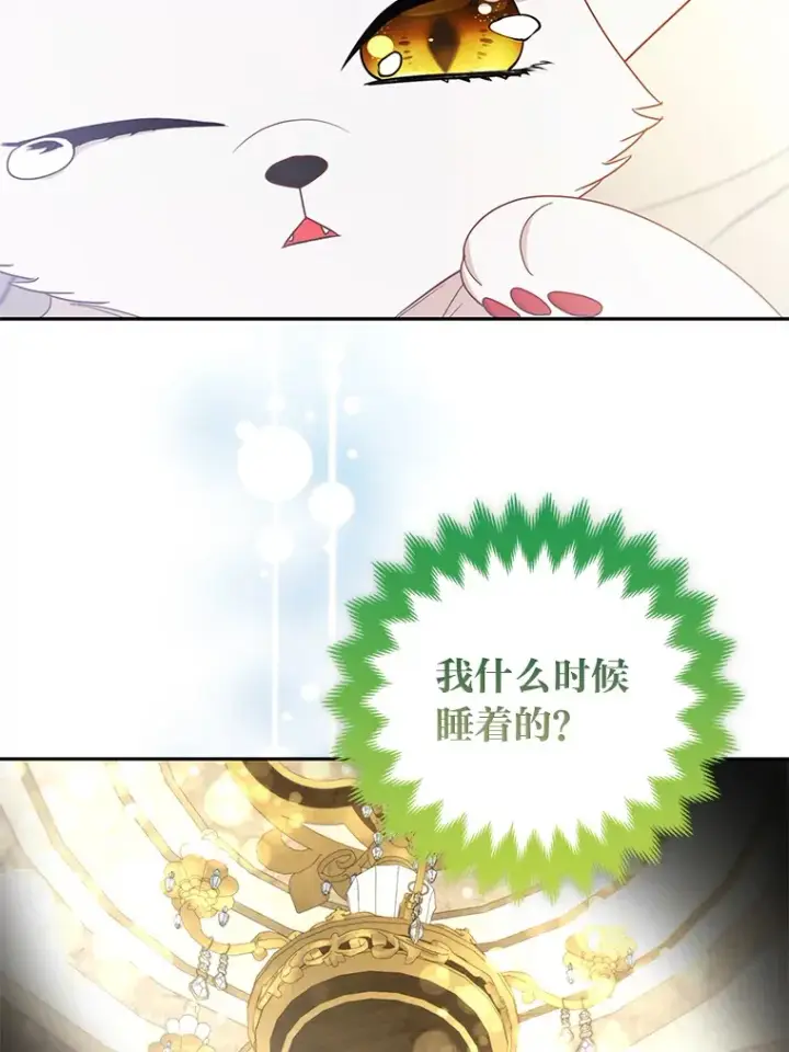 《大公家的狐狸皇女》22.解开误会图81