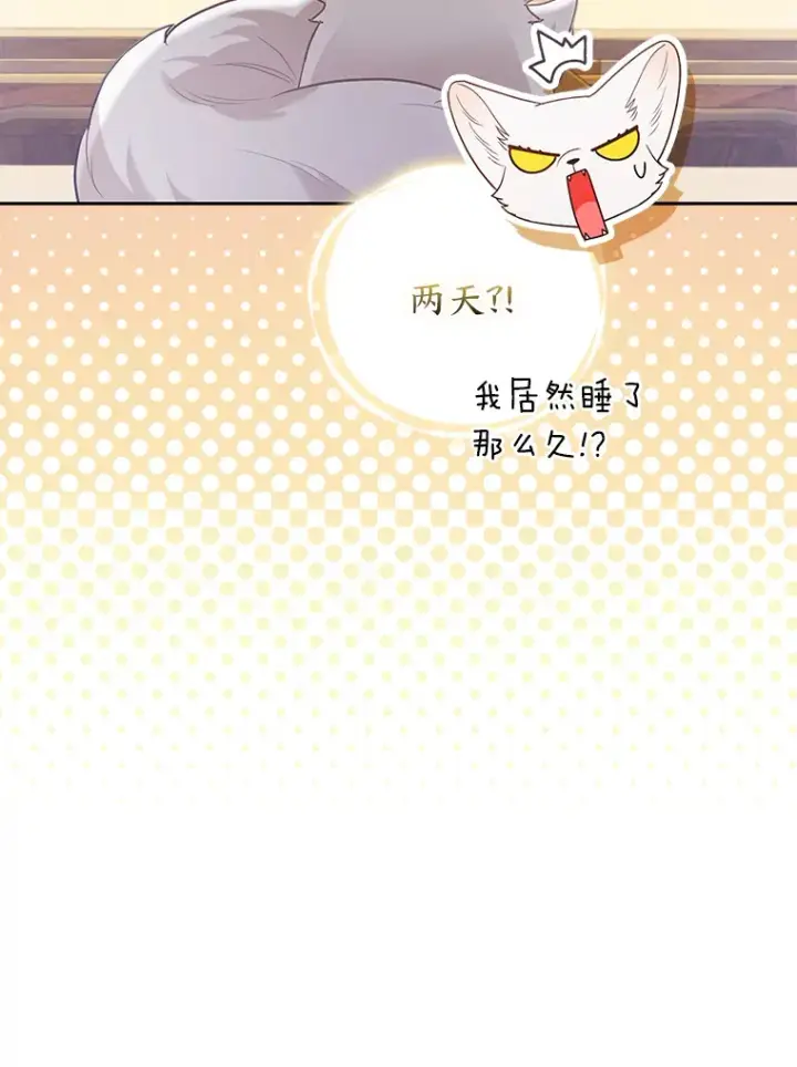 《大公家的狐狸皇女》22.解开误会图94