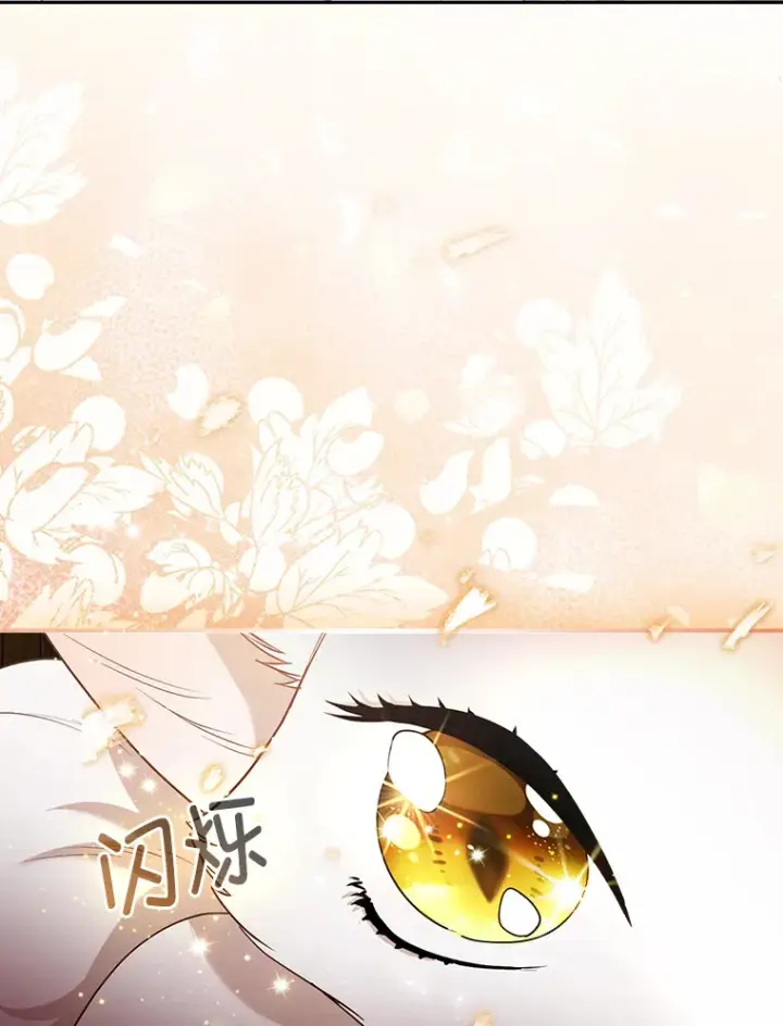 《大公家的狐狸皇女》23.助眠作战图12