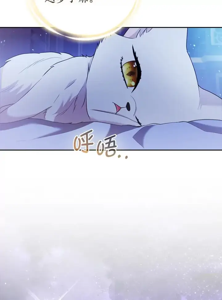 《大公家的狐狸皇女》23.助眠作战图24