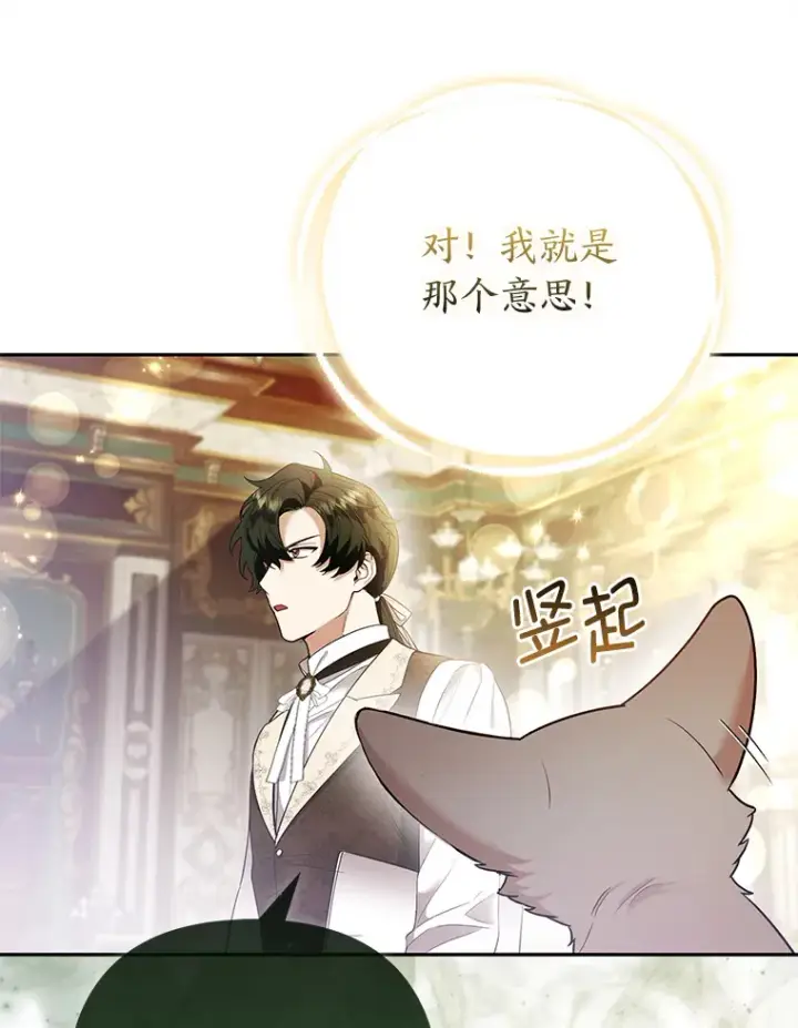 《大公家的狐狸皇女》23.助眠作战图60