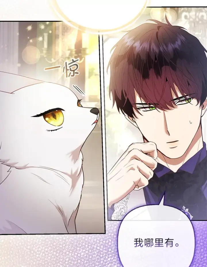《大公家的狐狸皇女》23.助眠作战图62