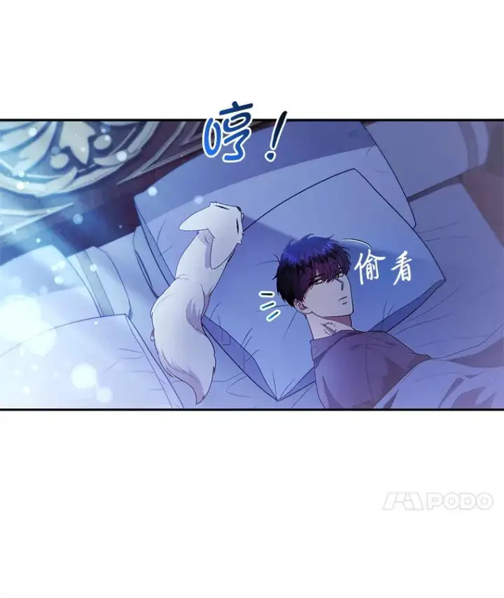 《大公家的狐狸皇女》23.助眠作战图81