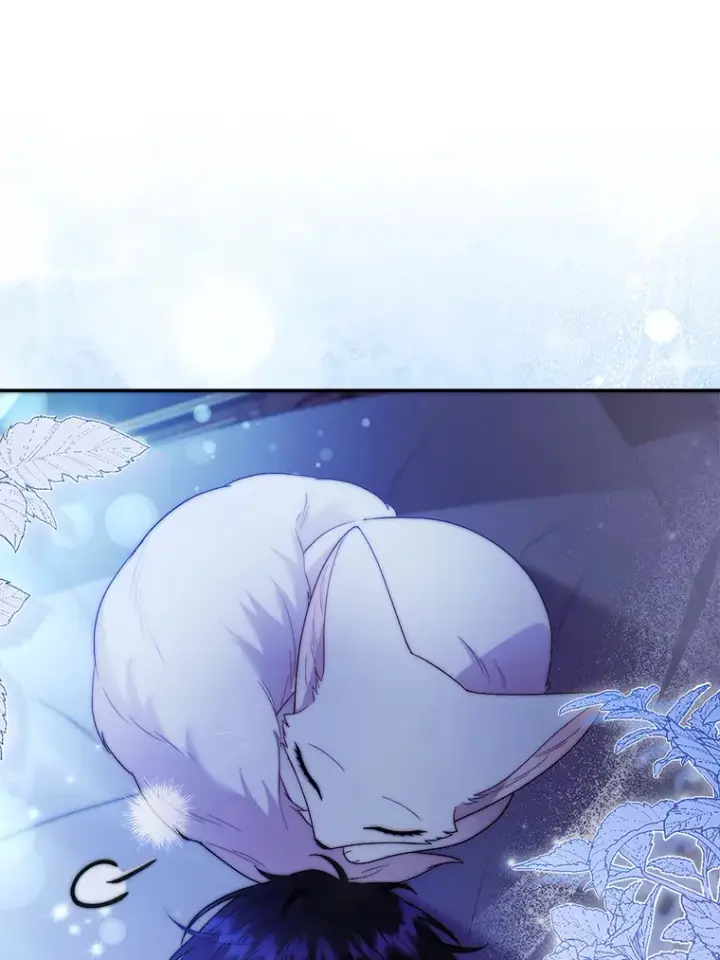 《大公家的狐狸皇女》23.助眠作战图82