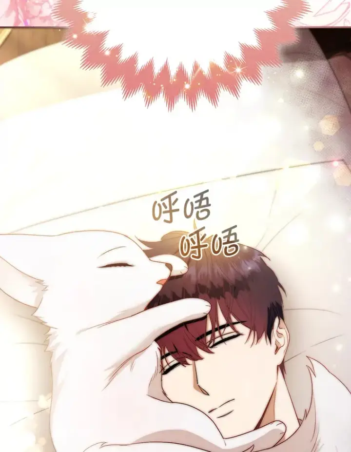 《大公家的狐狸皇女》23.助眠作战图99