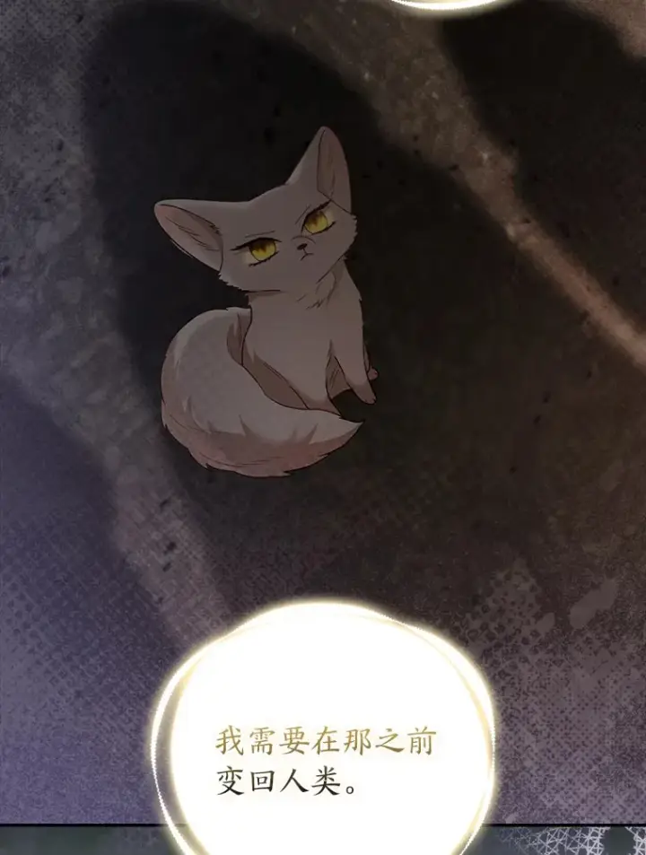 《大公家的狐狸皇女》24.狐狸的贴身侍女图52