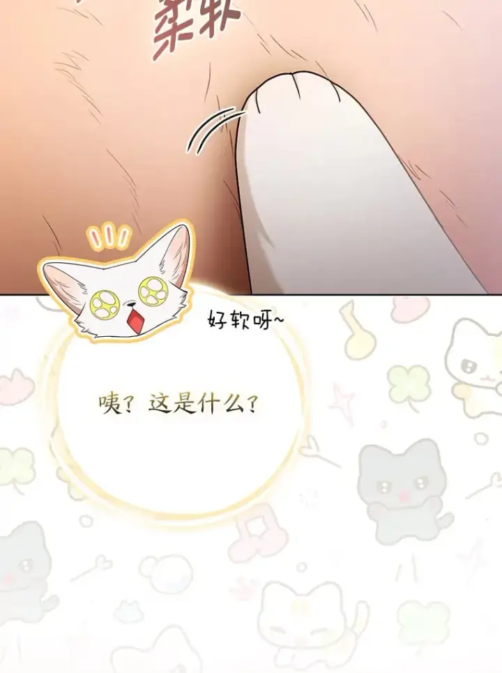 《大公家的狐狸皇女》25.侍女的真诚告白图33