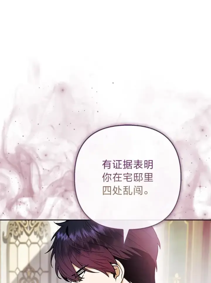 《大公家的狐狸皇女》25.侍女的真诚告白图43