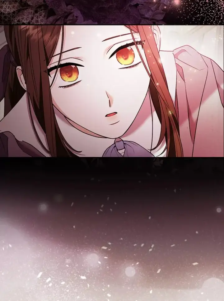 《大公家的狐狸皇女》25.侍女的真诚告白图5