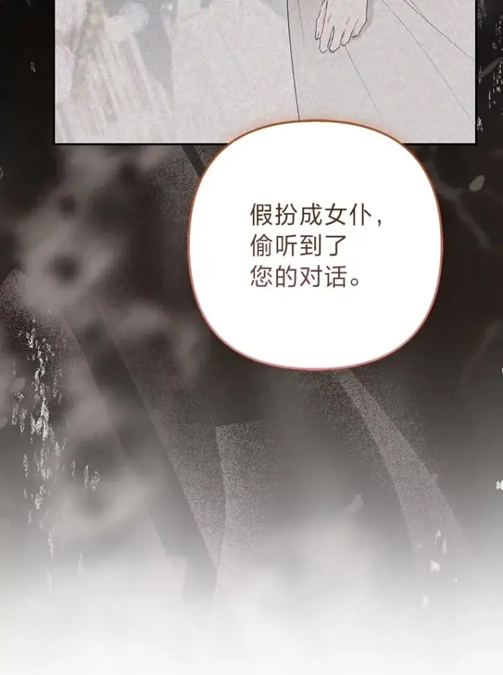 《大公家的狐狸皇女》25.侍女的真诚告白图51