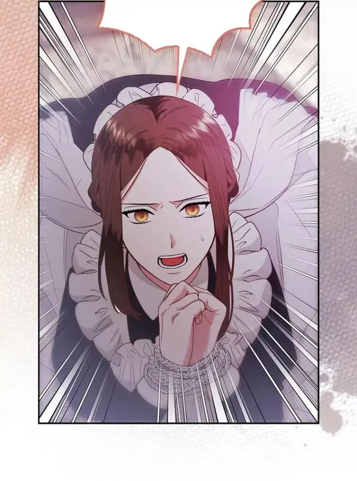 《大公家的狐狸皇女》25.侍女的真诚告白图54