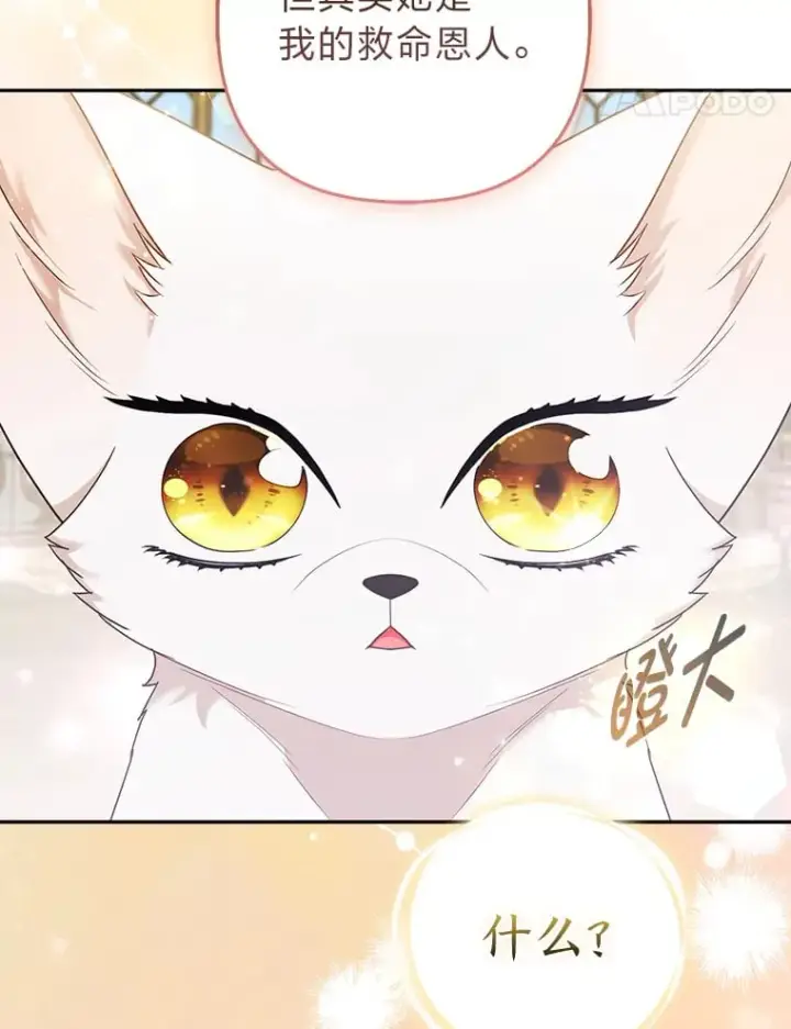 《大公家的狐狸皇女》25.侍女的真诚告白图60