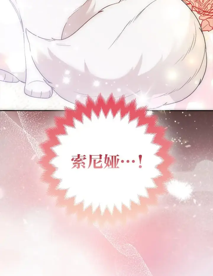 《大公家的狐狸皇女》25.侍女的真诚告白图90