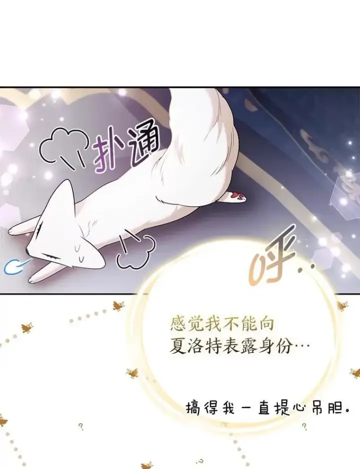 《大公家的狐狸皇女》26.一眼看穿图48