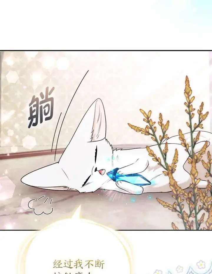 《大公家的狐狸皇女》28.歌剧宴会的邀请图29