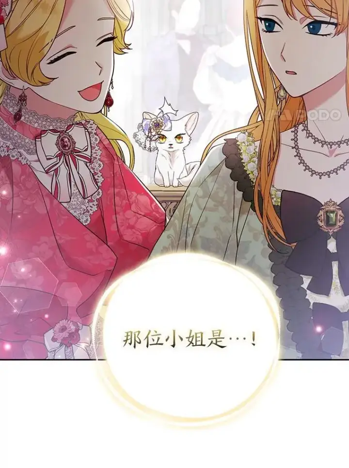 《大公家的狐狸皇女》29.宴会的真正目的图35