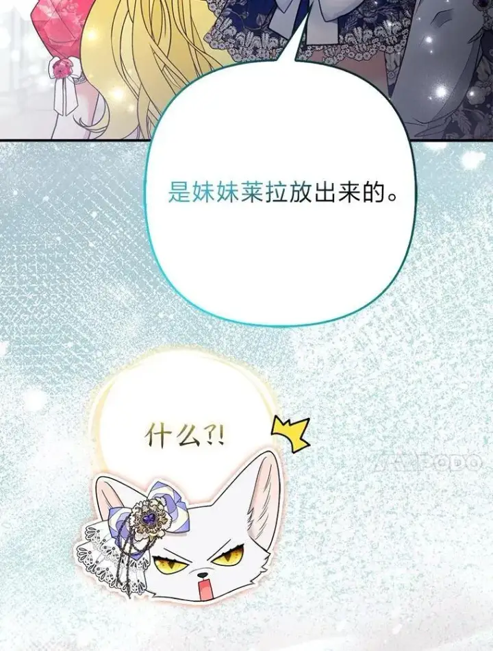 《大公家的狐狸皇女》29.宴会的真正目的图41