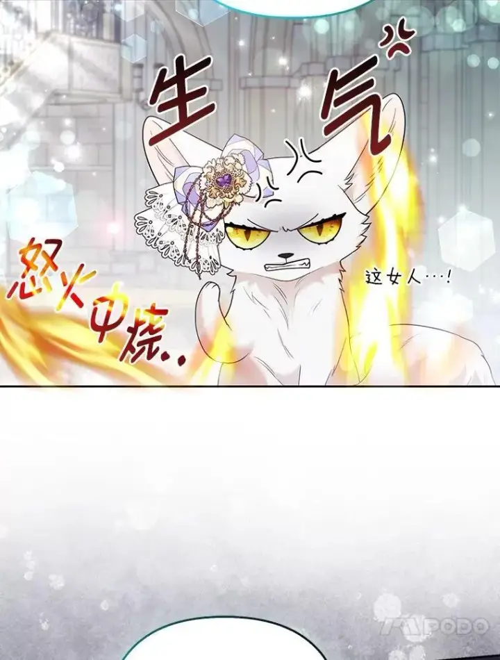 《大公家的狐狸皇女》29.宴会的真正目的图44