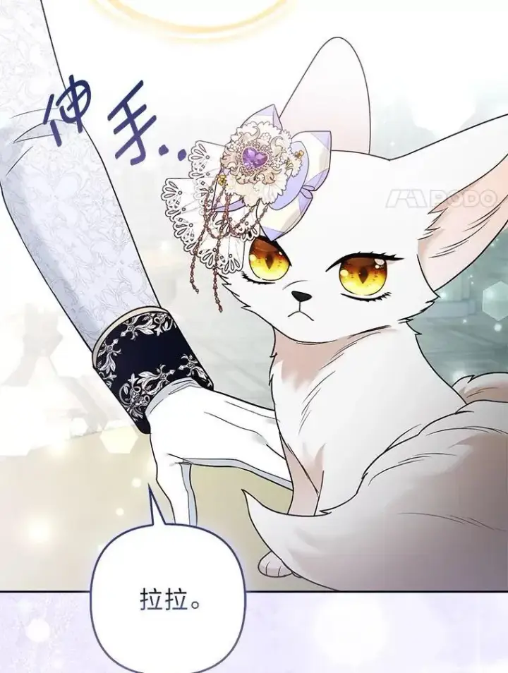 《大公家的狐狸皇女》29.宴会的真正目的图68