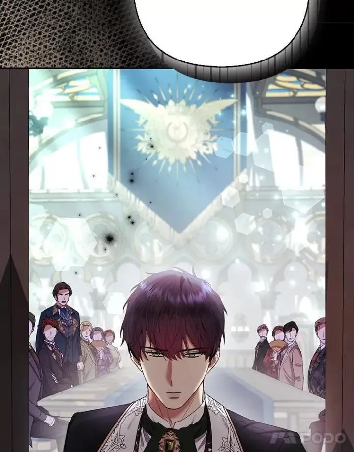 《大公家的狐狸皇女》31.魔法师会议图100