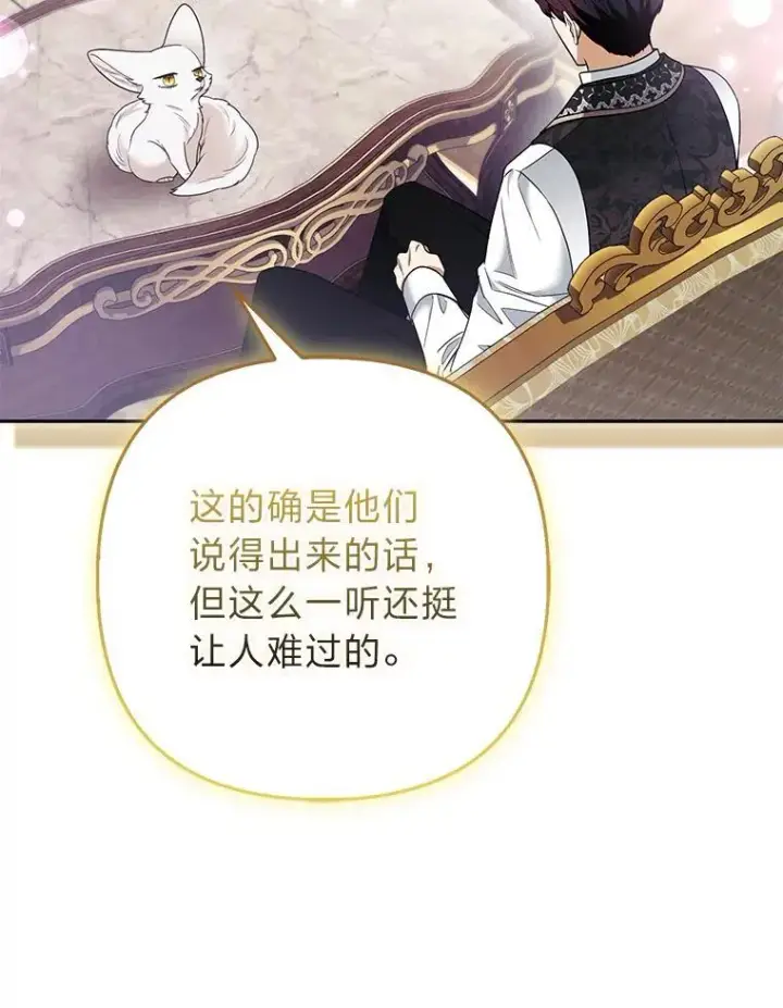 《大公家的狐狸皇女》31.魔法师会议图104