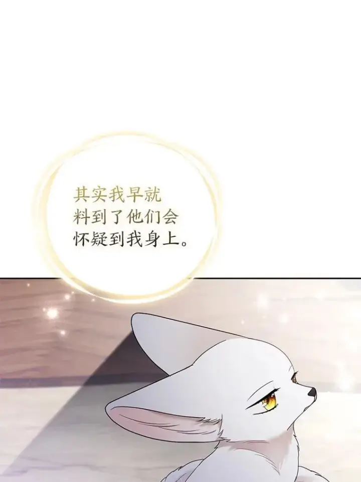 《大公家的狐狸皇女》31.魔法师会议图105