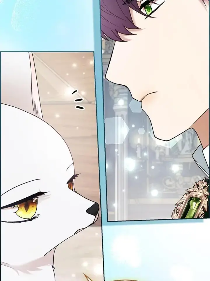 《大公家的狐狸皇女》31.魔法师会议图112
